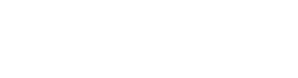World Security Solutions Ltd.