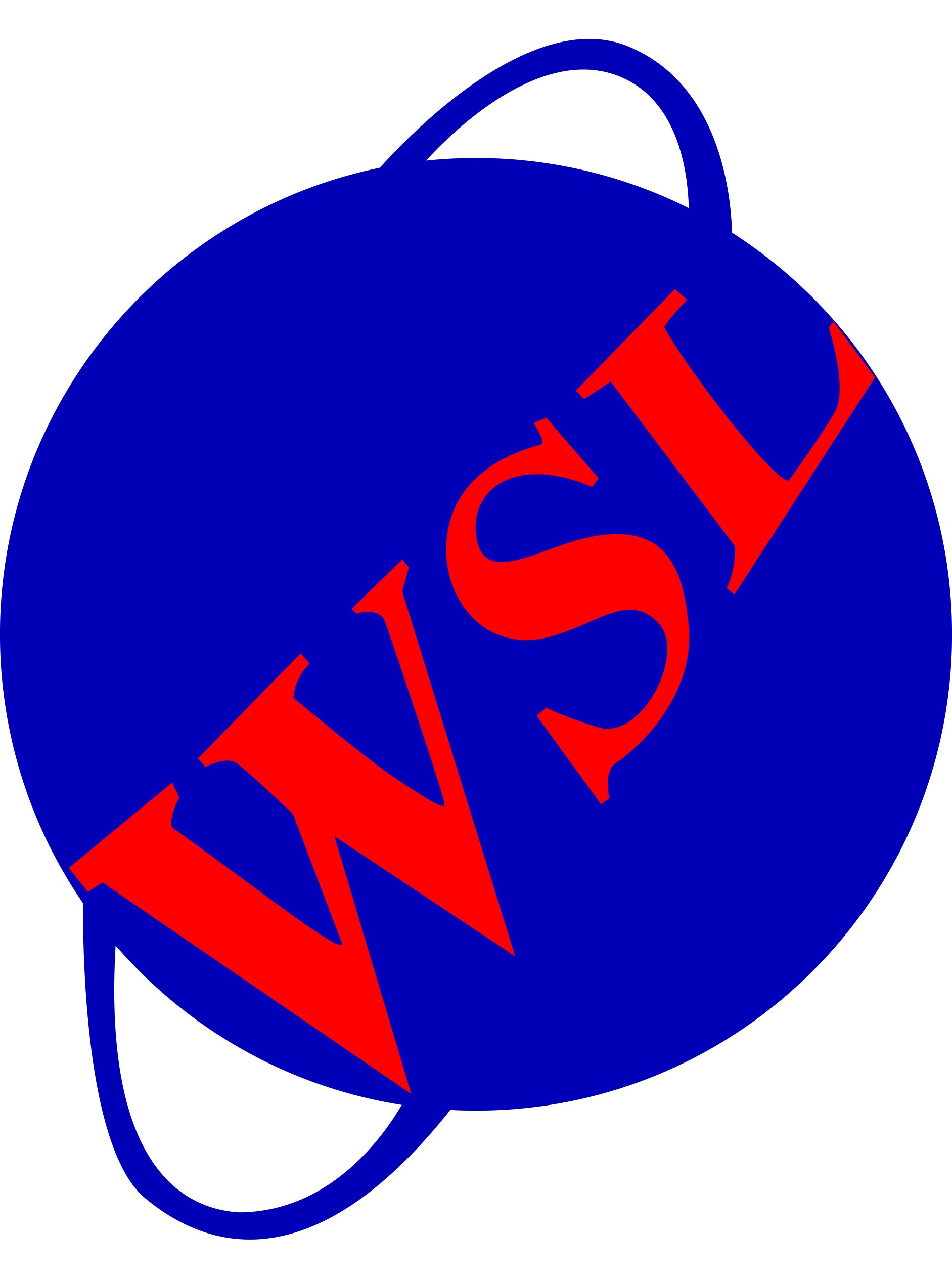 World Security Solutions Ltd.